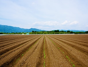 市街化調整区域・農地転用